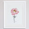 PINK PEONY POSTER